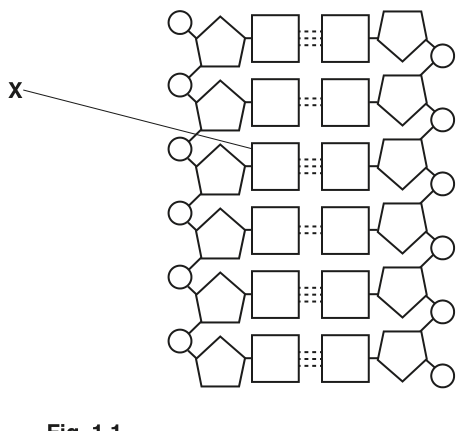 Fig. 1.1
