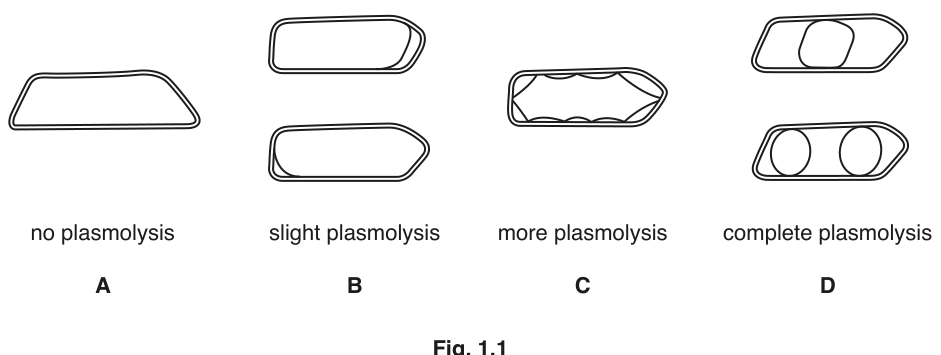 Fig. 1.1