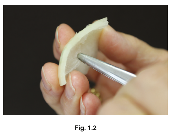 Fig. 1.2