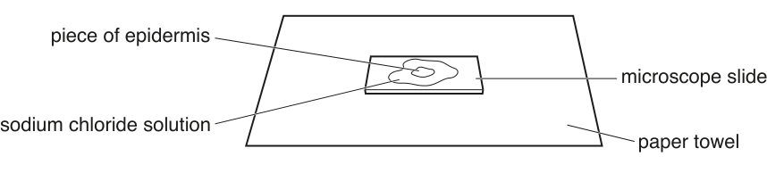 Fig. 1.3