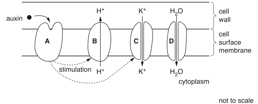 Fig. 1.1