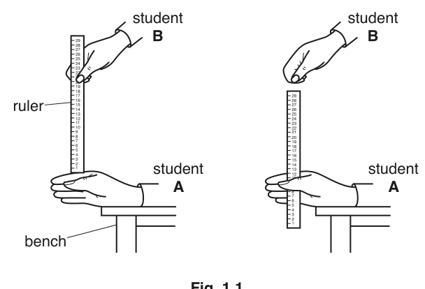 Fig. 1.1