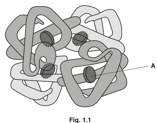 Fig. 1.1