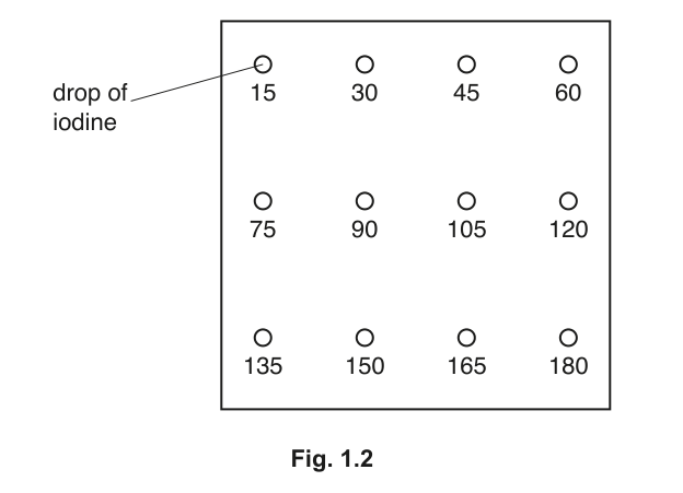 Fig. 1.2