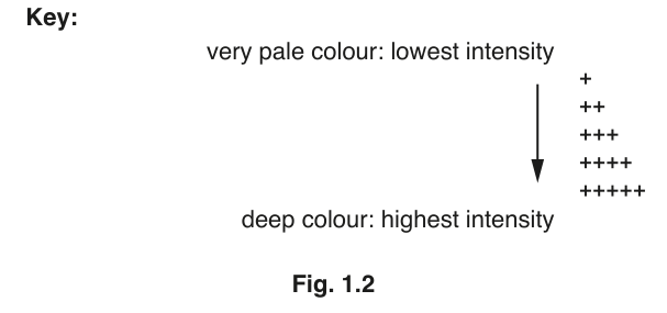 Fig. 1.2