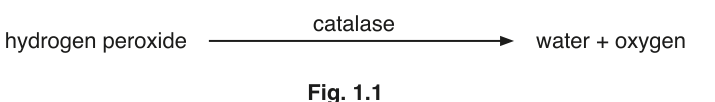 Fig. 1.1