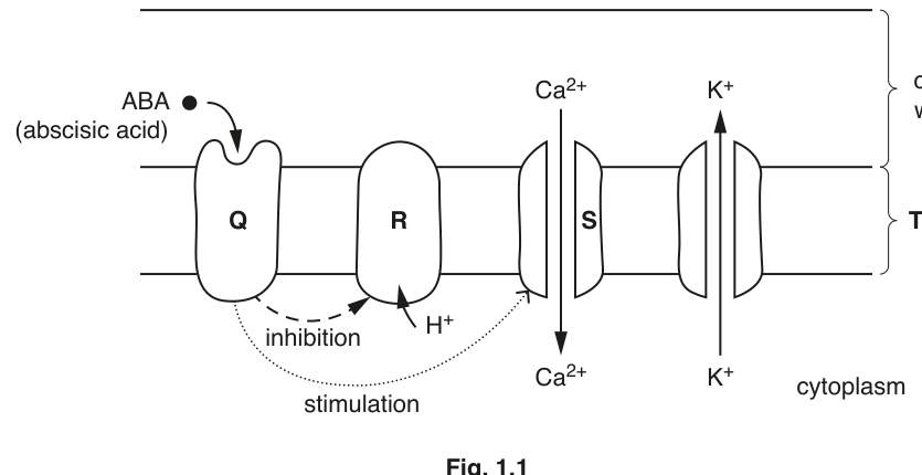 Fig. 1.1