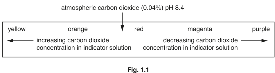 Fig. 1.1