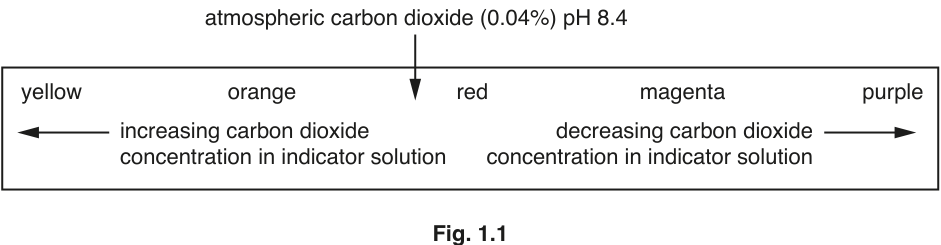 Fig. 1.1