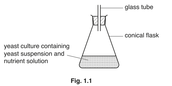 Fig. 1.1