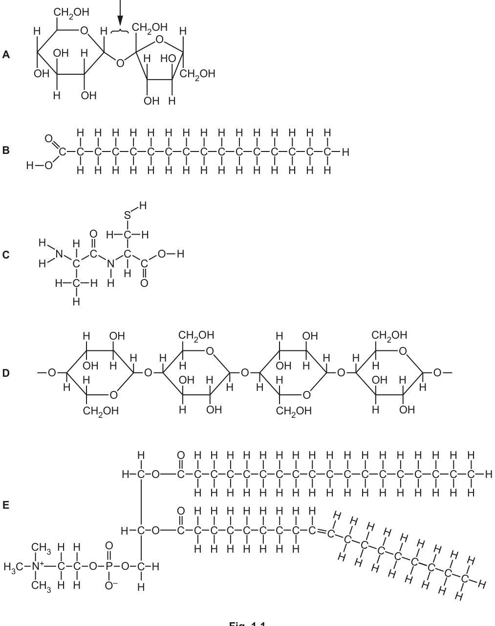 Fig. 1.1