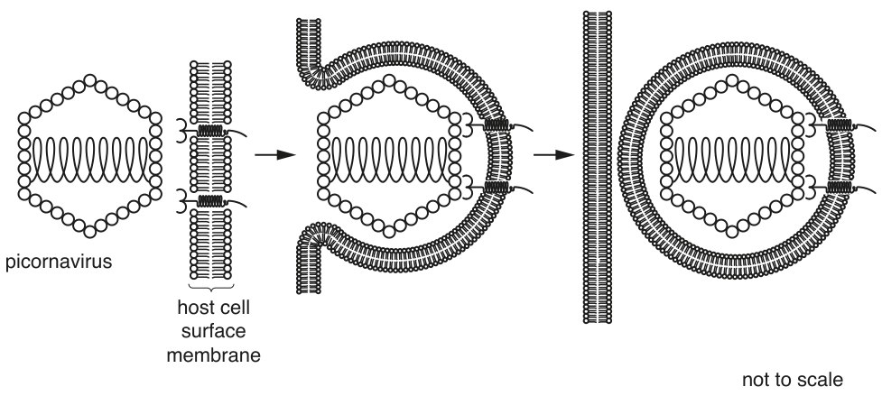 Fig. 1.1