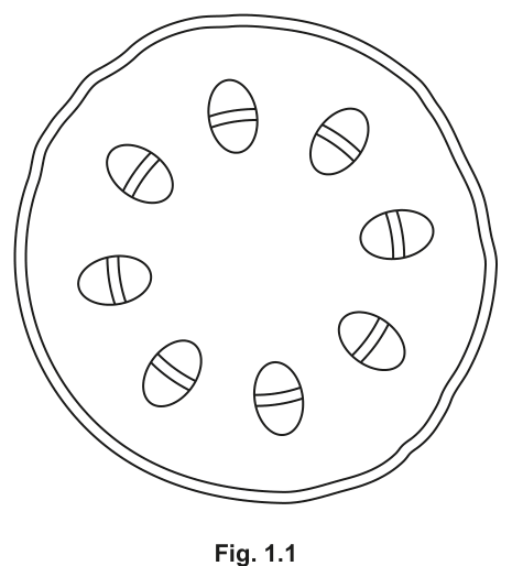 Fig. 1.1