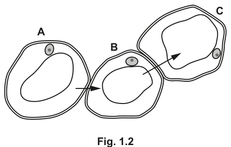 Fig. 1.2