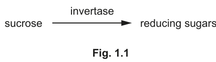 Fig. 1.1