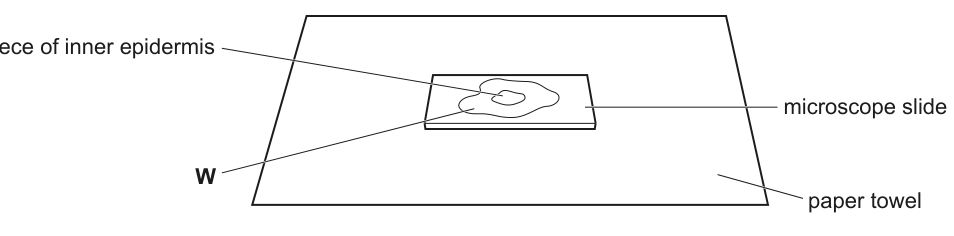 Fig. 1.2