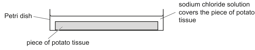 Fig. 1.1