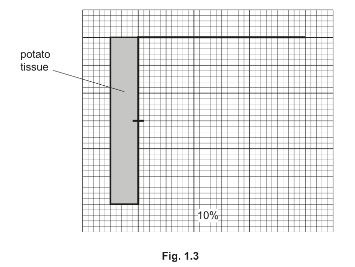 Fig. 1.3