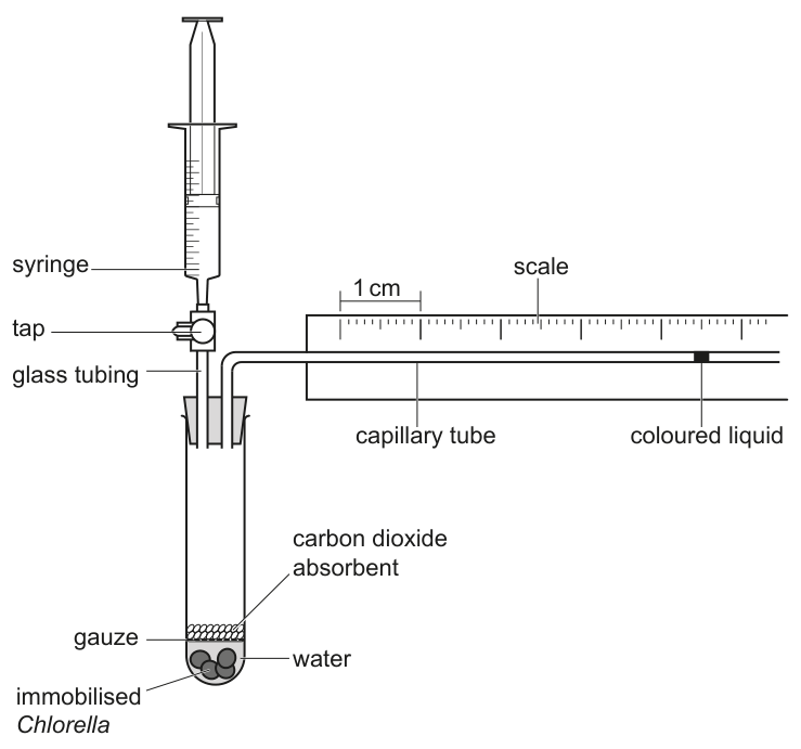 Fig. 1.1