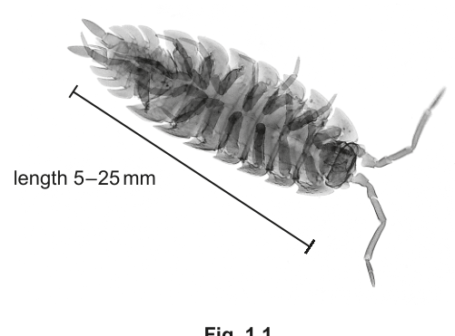 Fig. 1.1