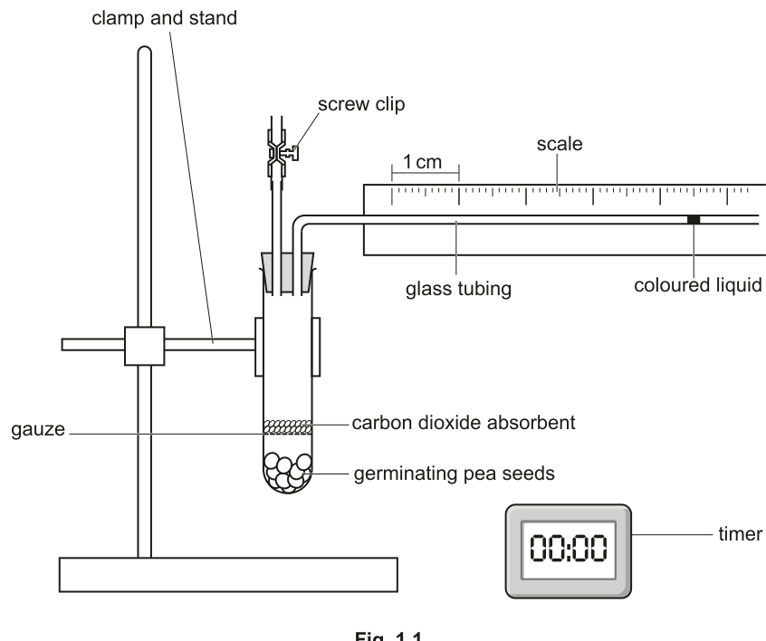 Fig. 1.1