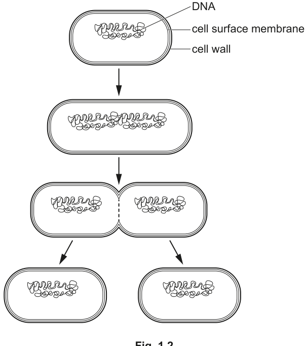 Fig. 1.2