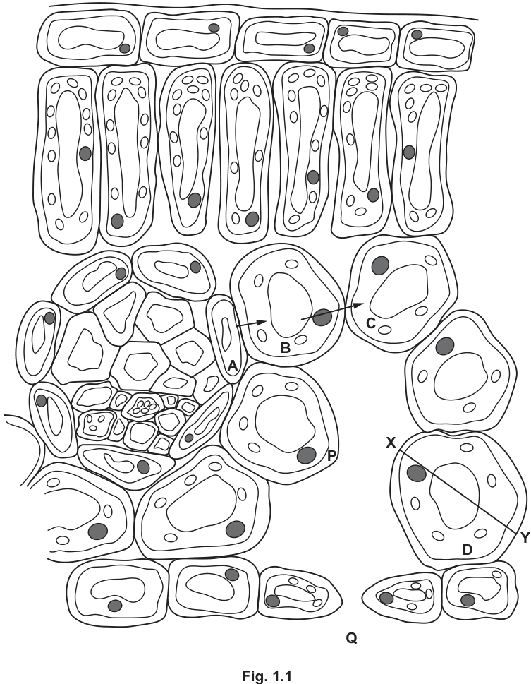 Fig. 1.1