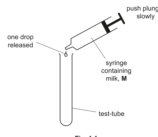 Fig. 1.1