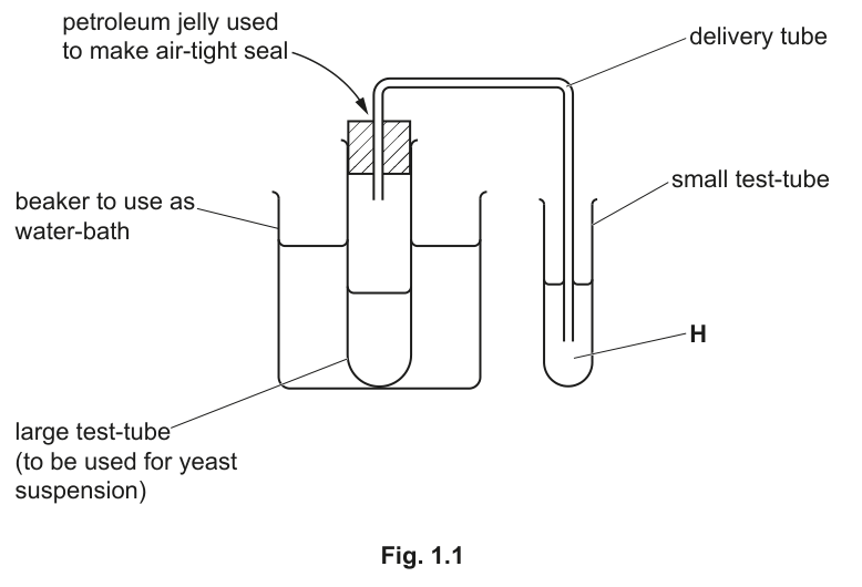 Fig. 1.1