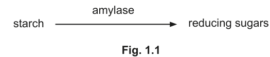 Fig. 1.1