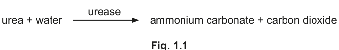 Fig. 1.1