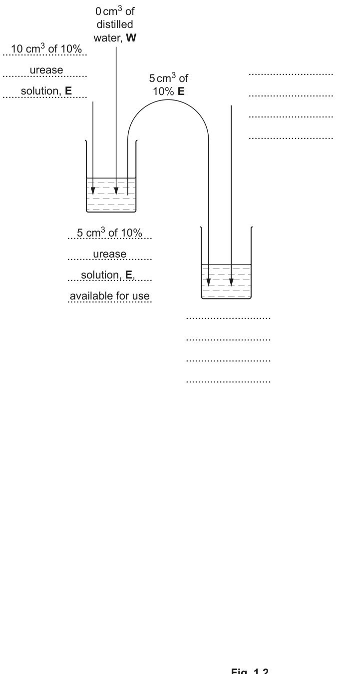 Fig. 1.2