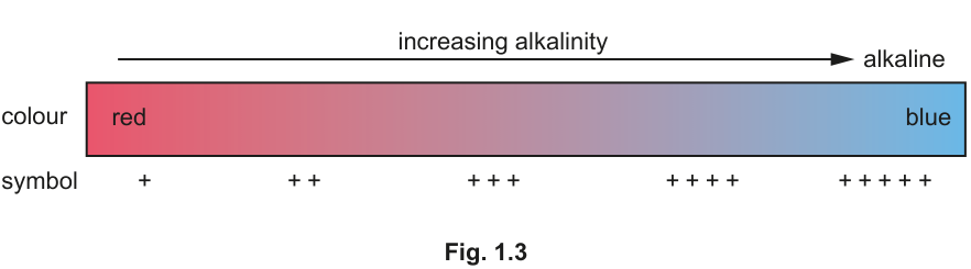 Fig. 1.3