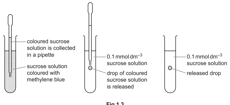 Fig. 1.3