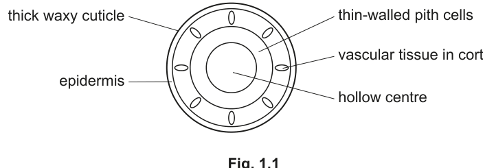 Fig. 1.1