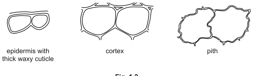 Fig. 1.2