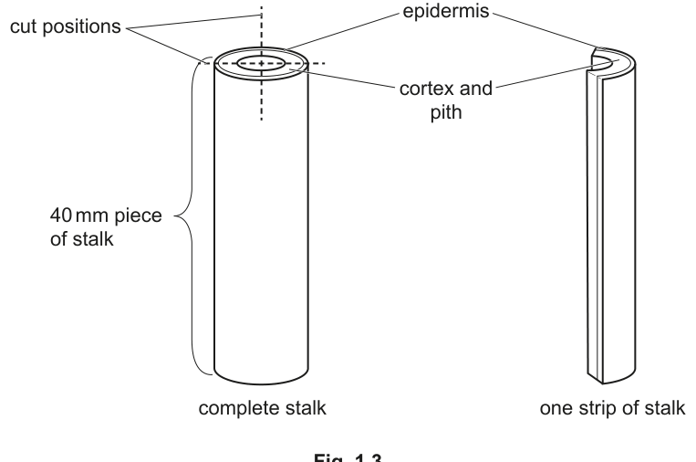 Fig. 1.3