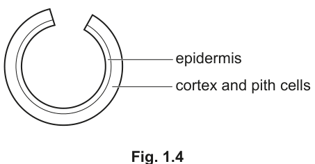 Fig. 1.4