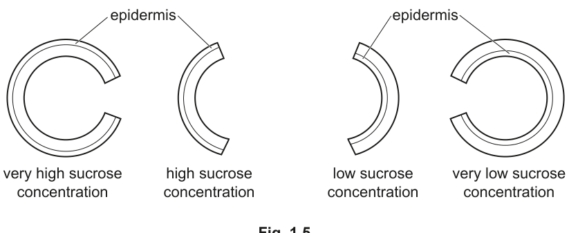 Fig. 1.5