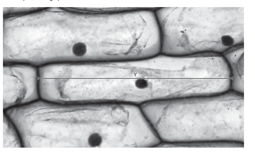 Fig. 1.1