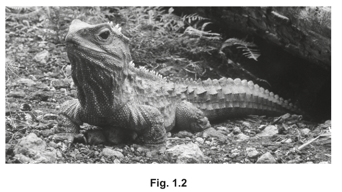 Fig. 1.2