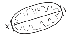 Fig. 1.1