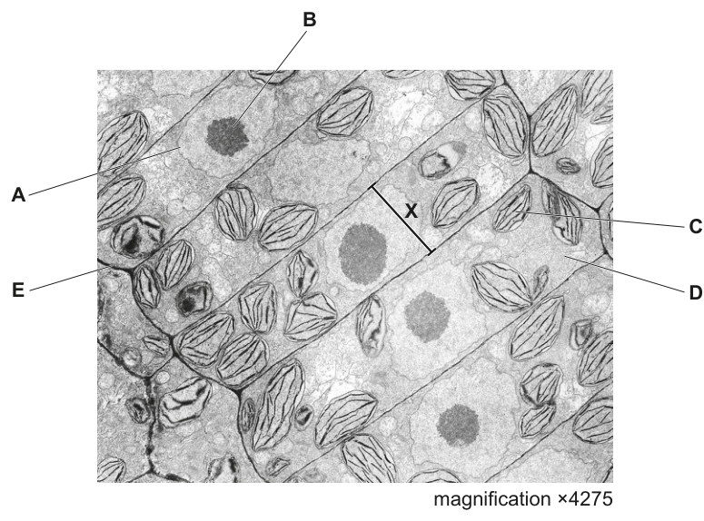 Fig. 1.1