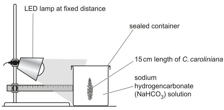 Fig. 1.1