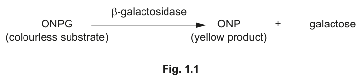 Fig. 1.1