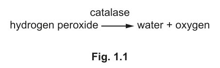 Fig. 1.1