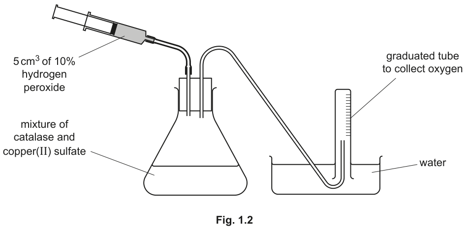Fig. 1.2