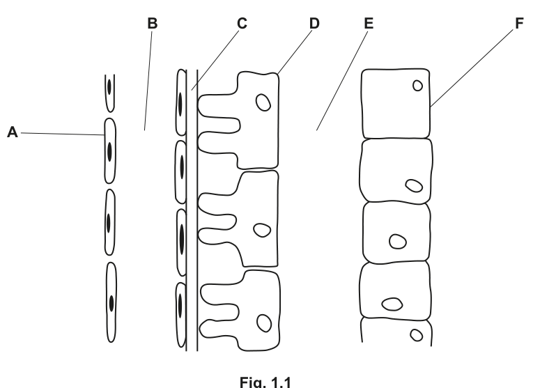 Fig. 1.1