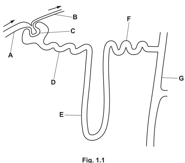 Fig. 1.1