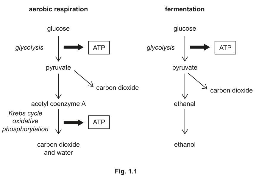 Fig. 1.1